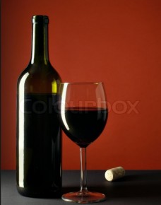 Vyno Guru
